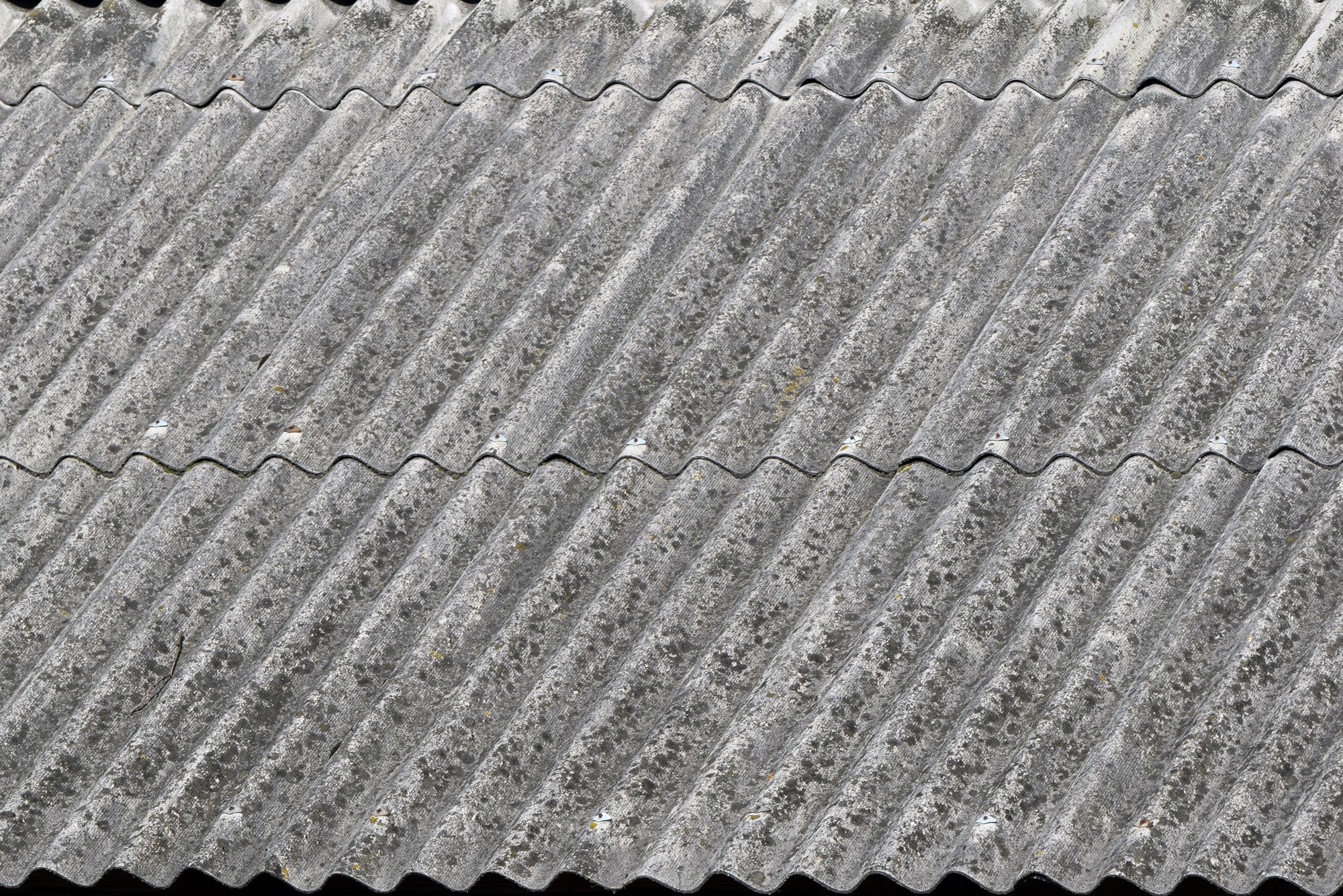 Asbestos Roof Disposal Asbestos Roof Disposal
