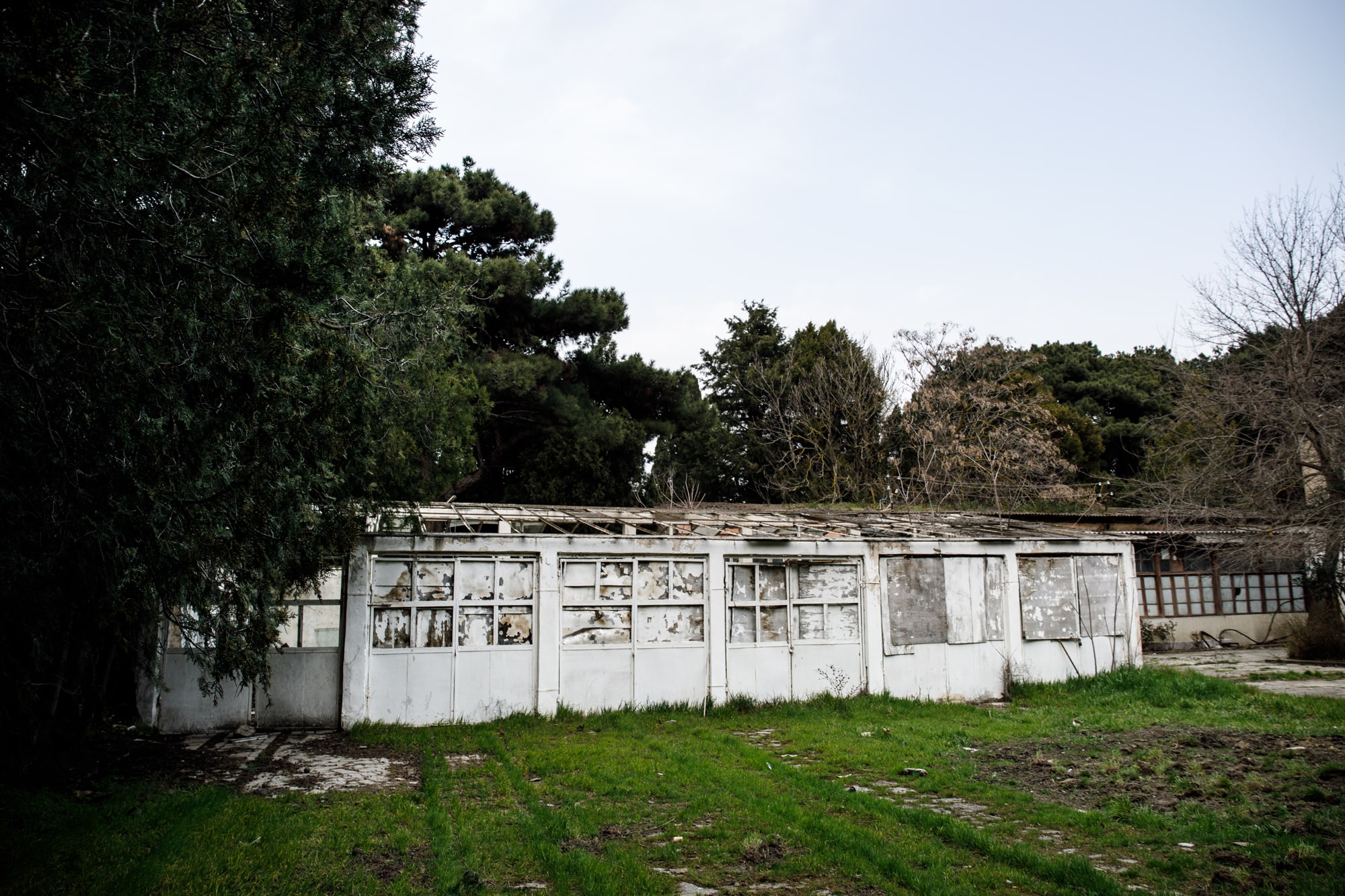 Removal Of Old Asbestos Garage Roof Removal Of Old Asbestos Garage Roof